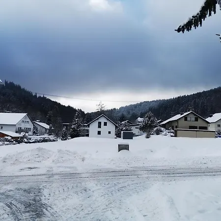 Kuhlmann Appartamento Willingen (Upland)