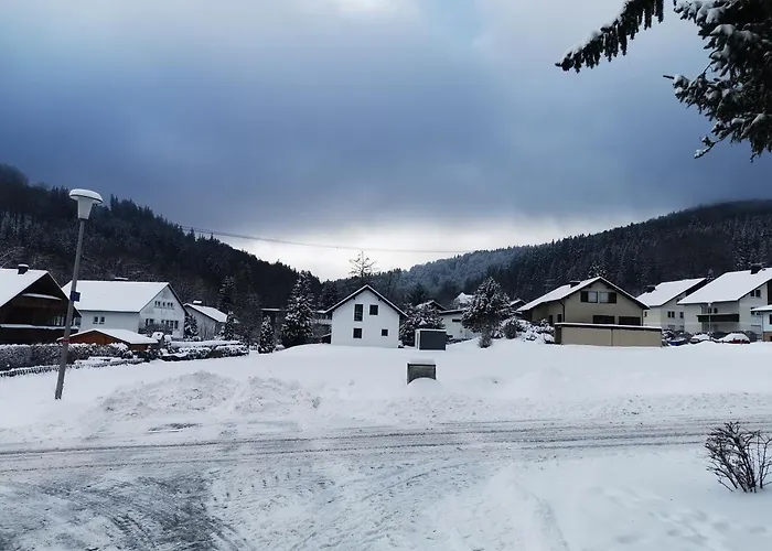 Kuhlmann Apartment Willingen (Upland)